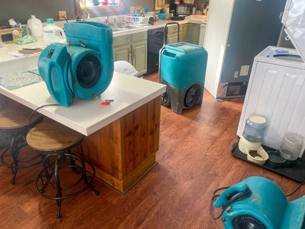 Best Emergency water damage restoration  in Tarpon Springs, FL