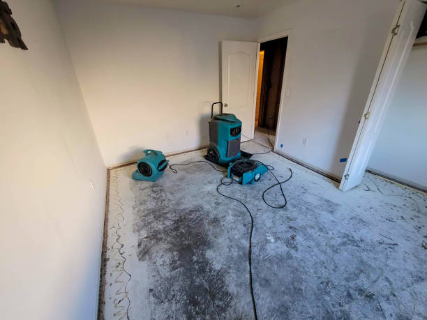 Sewage cleanup and water damage restoration in Tarpon Springs, FL