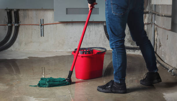 Best 24-hour water damage restoration  in Tarpon Springs, FL