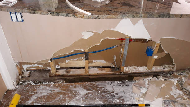 Best Water damage cleanup near me  in Tarpon Springs, FL