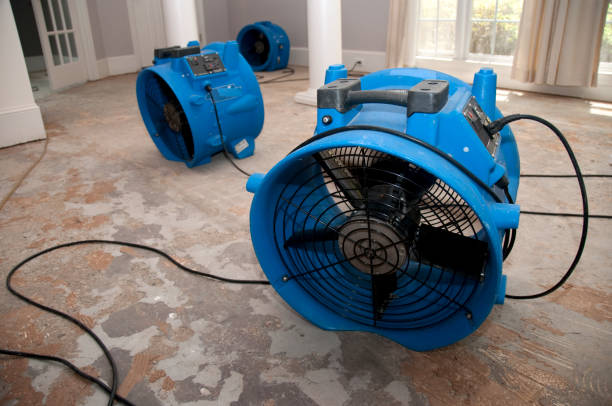 Best Water damage repair service  in Tarpon Springs, FL