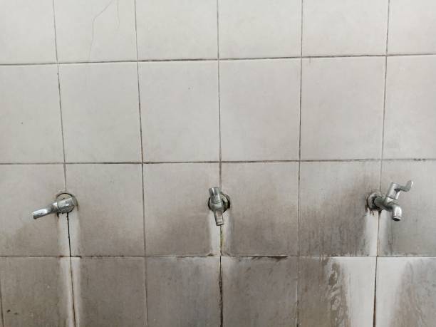 Tarpon Springs, FL Water damage restoration Company