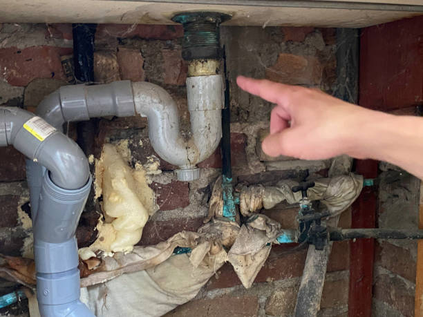 Best Fire Damage Restoration  in Tarpon Springs, FL