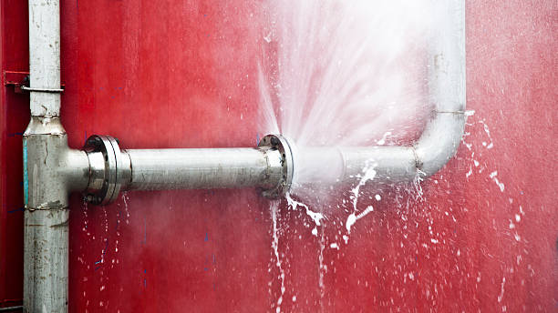 Best Ceiling water damage repair  in Tarpon Springs, FL