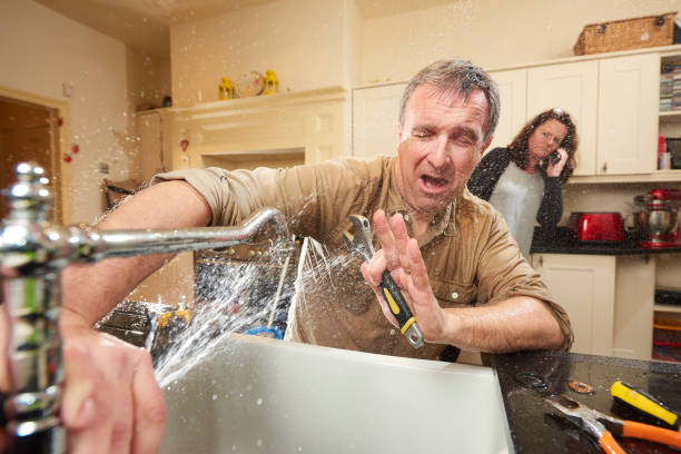 Best Water damage restoration near me  in Tarpon Springs, FL